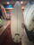 5'0 LOST FORMULA-1 ROUND PIN GROM SURFBOARD (290242)
