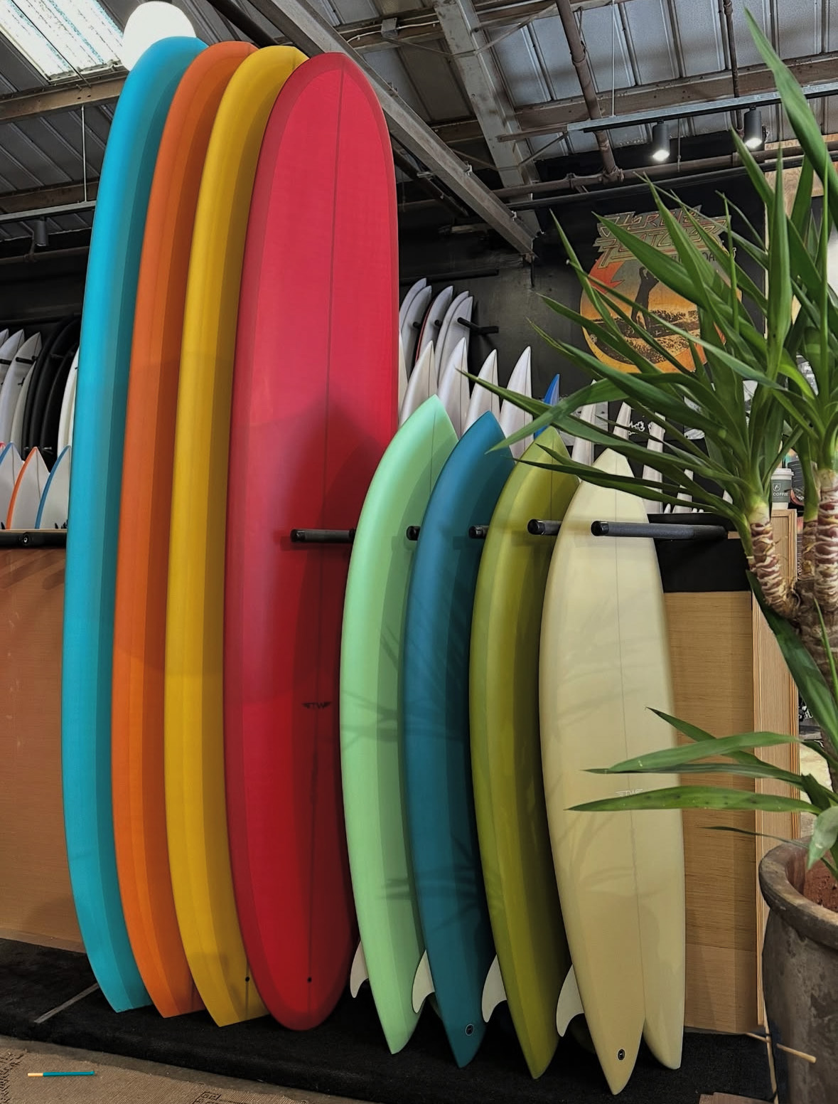 Tyler Warren Hobie Rose | ⁄ 9'6” ⁄ 9'6 Surf – Surfboards