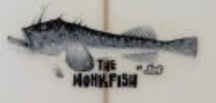 Lost Monk Fish Surfboard