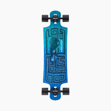 36.5