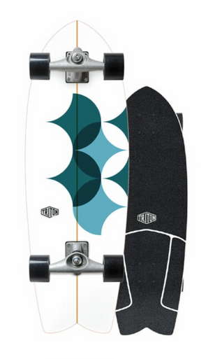 CARVER 29
