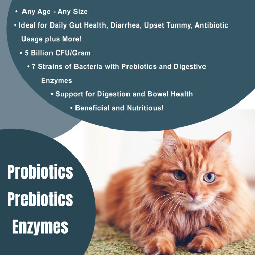 Catzymes Probiotic Daily Balance 