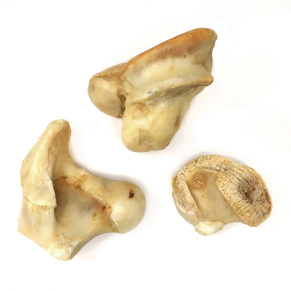 Image of Knuckle Bones  - Chew and Dental Tool