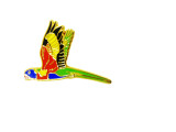 Enamel Pin - Rainbow Lorikeet