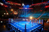 Professional Elevated Boxing Ring Regulation Size Professional Elevated Boxing Ring Regulation Size