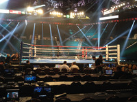 Fight Night Official Elevated Boxing Ring | Boxing Ring Rental Fight Night Official Elevated Boxing Ring | Boxing Ring Rental