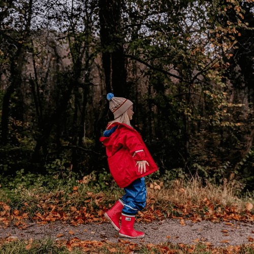 Woodland Walks: Adventure Awaits Among the Trees