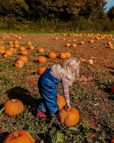 ​Spotty Otter's Guide to Pumpkin Picking: Don’t Forget Your Wellies and Waterproofs! 