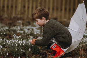 Spot the Snowdrops this Half Term