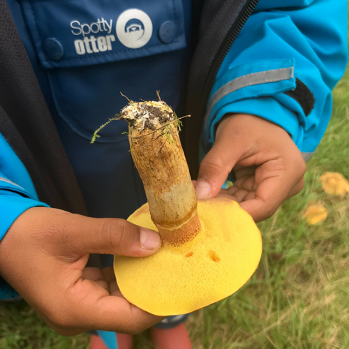 ​Happy UK Fungus Day!