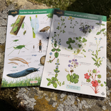 Nature Club Box