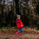 Woodland Walks: Adventure Awaits Among the Trees