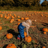 ​Spotty Otter's Guide to Pumpkin Picking: Don’t Forget Your Wellies and Waterproofs! 