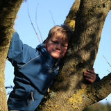 What  is  National Tree Week ?