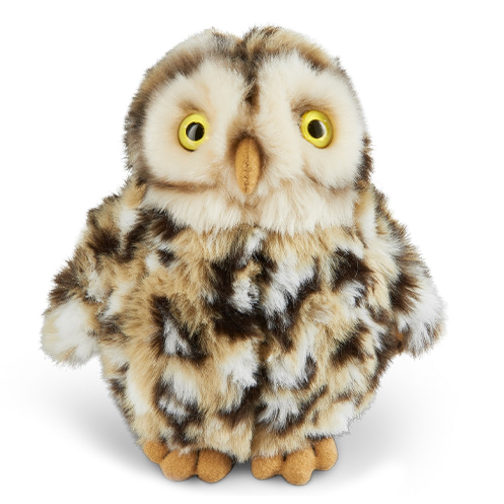 LIVING NATURE Little Owl | Buy at Cow & Lizard