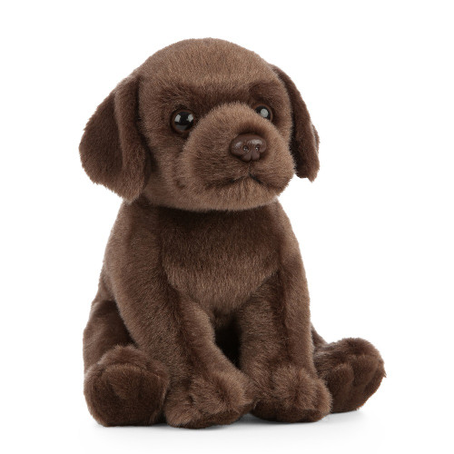 Living NATURE Chocolate Labrador Puppy