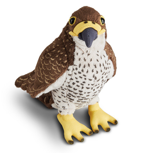 LIVING NATURE Peregrine Falcon