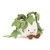 Jellycat Amuseables Ivy