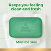 IRISH SPRING BAR SOAP 3.7 OZ MOISTURE BLAST