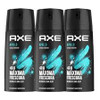 AXE Apollo Body Spray Long-Lasting Odor Protection Deodorant for Men 2PK