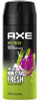 Axe Premium Fragrance Collection Body Spray, 72H DUAL PROTECTION EPIC FRESH PK3