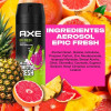 Axe Premium Fragrance Collection Body Spray, 72H DUAL PROTECTION EPIC FRESH PK3