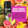 Axe Premium Fragrance Collection Body Spray, 48H DUAL PROTECTION EPIC FRESH PK4