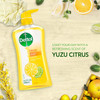 Dettol Fresh Body Wash and Shower Gel, Fresh Yuzu Citrus Scent Body Wash, 16.90 Fl Oz (Pack of 1)