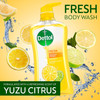 Dettol Fresh Body Wash and Shower Gel, Fresh Yuzu Citrus Scent Body Wash, 16.90 Fl Oz (Pack of 1)