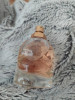 SBD'S Adidas Born Original Eau De Parfum Pour Elle - FOR HER 1.7 FL. OZ.