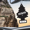 Little Trees Car Air Freshener | Xtra Strength Provides Long-Lasting Scent for Auto or Home | Extra Boost of Fragrance | BLACK ICE Air Fresheners
