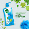 Dettol Cool Body Wash and Shower Gel, Body Wash with Mint and Bergamot, 16.90 Fl Oz