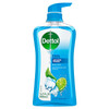Dettol Cool Body Wash and Shower Gel, Body Wash with Mint and Bergamot, 16.90 Fl Oz
