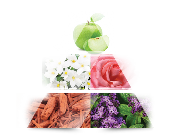 Head notes
green apple, peach, freesia

 

Heart notes
jasmine, rose, violet, lily of the valley

 

Base notes
musk, sandalwood, heliotrope