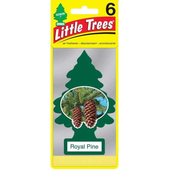 LITTLE TREES ROYAL PINE Air Freshener | Hanging Paper Tree for Home or Car | Classic | NEW & POPULAR Scent'S