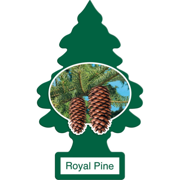 LITTLE TREES ROYAL PINE Air Freshener | Hanging Paper Tree for Home or Car | Classic | NEW & POPULAR Scent'S
