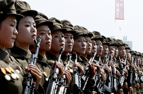 North Korean Compensator - NK-14