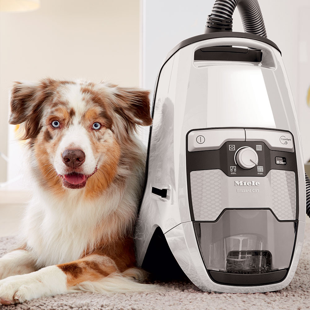 Miele Blizzard CX1 Cat & Dog Vacuum | Overnight Delivery