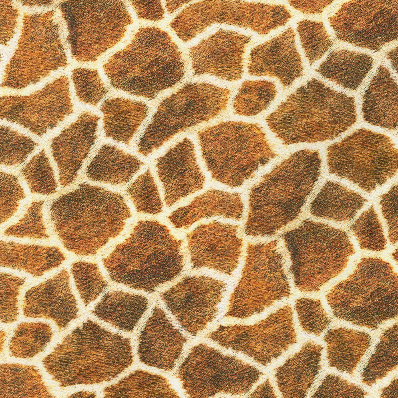 giraffe skin pattern