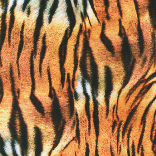 Wild Tiger Skin Digital Print