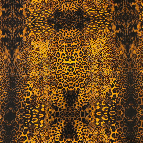 gold cheetah
