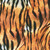 Wild Tiger Skin Digital Print