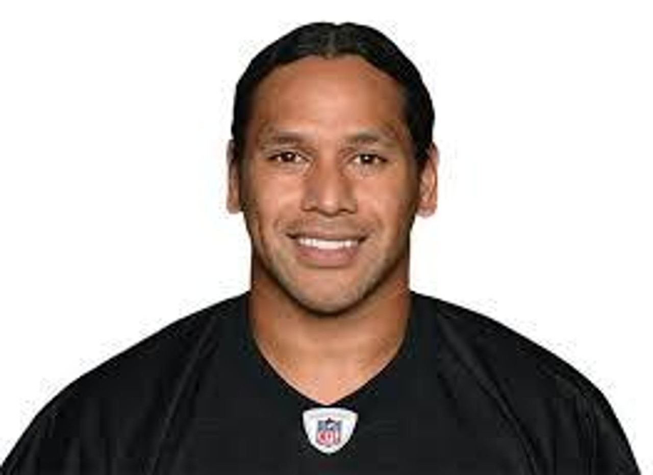 Troy Pulamalu