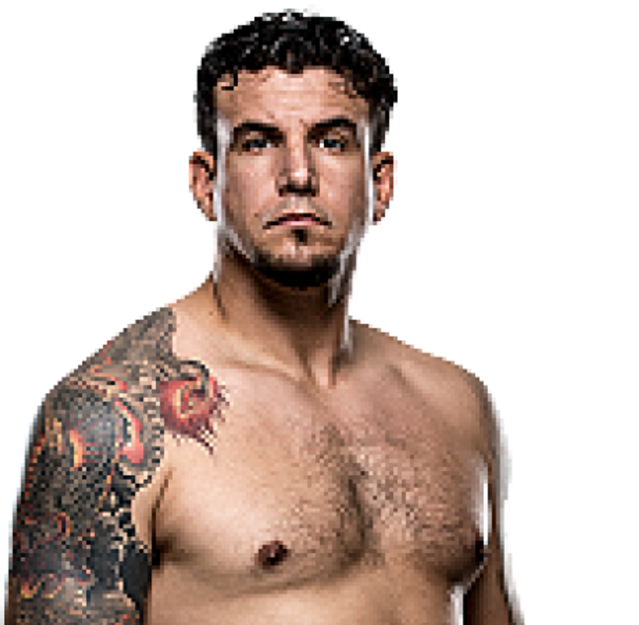 Frank Mir