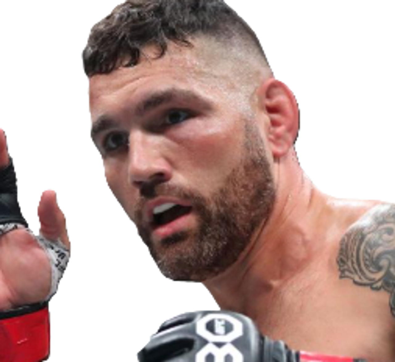 Chris Weidman