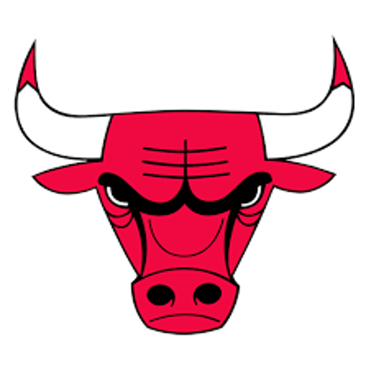 Chicago Bulls