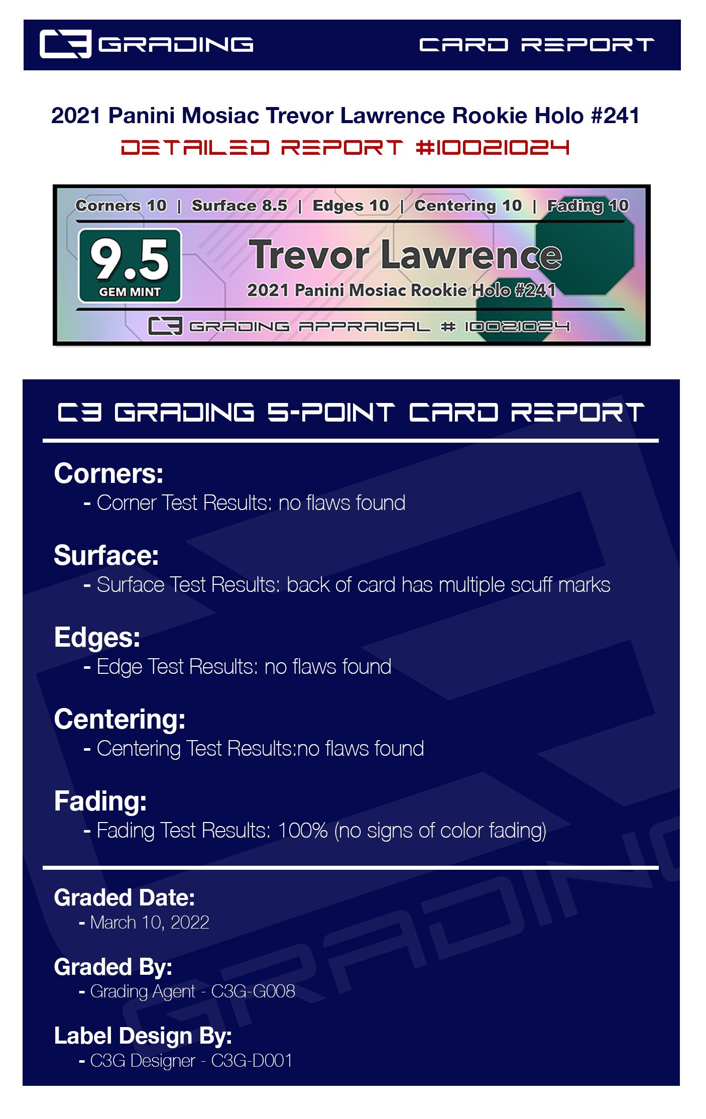 10021024-report.jpg
