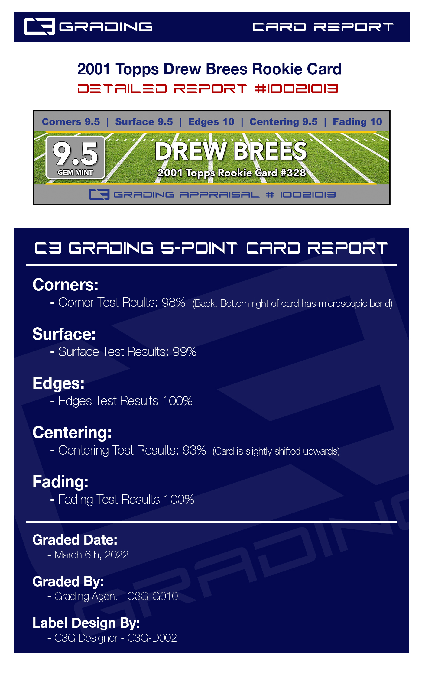 report-10021013.jpg