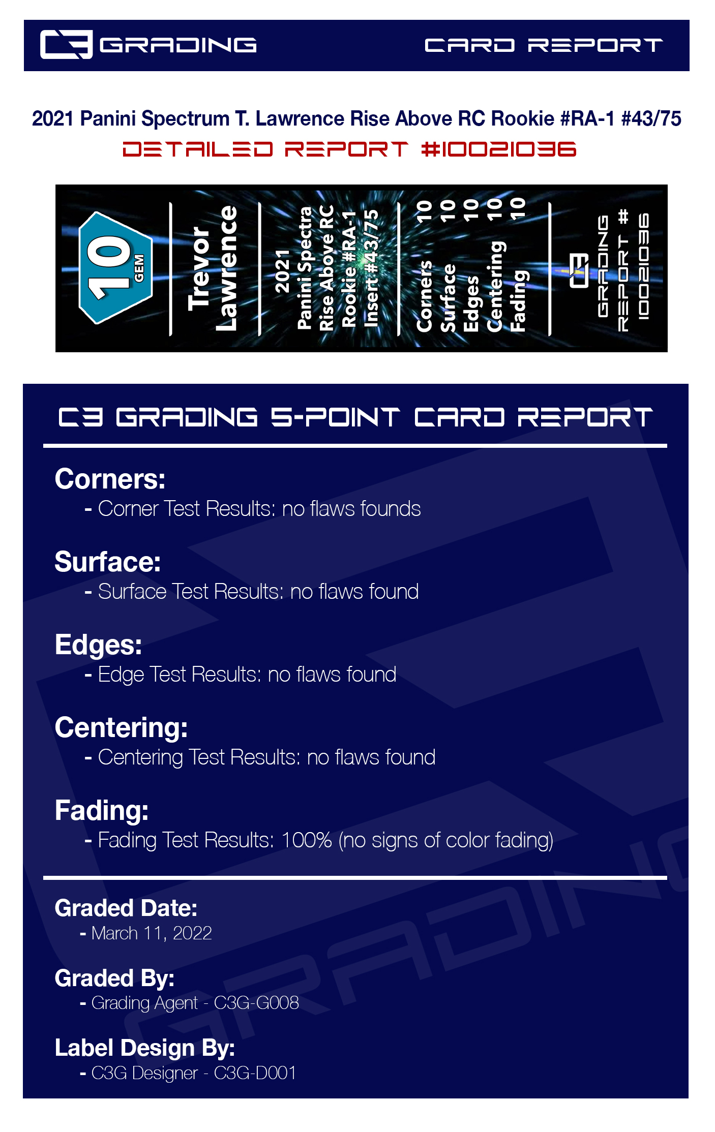 report-10021036.jpg