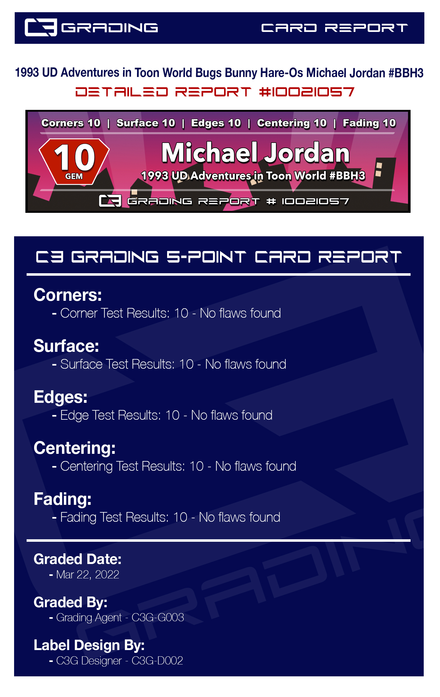 report-10021057.jpg
